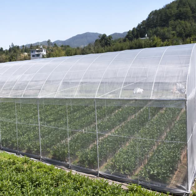 Anti Aphid Mesh Anti Aphid Mesh