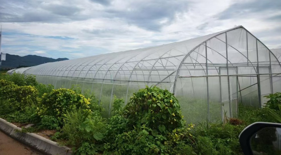 product-1440-795 product-1440-795